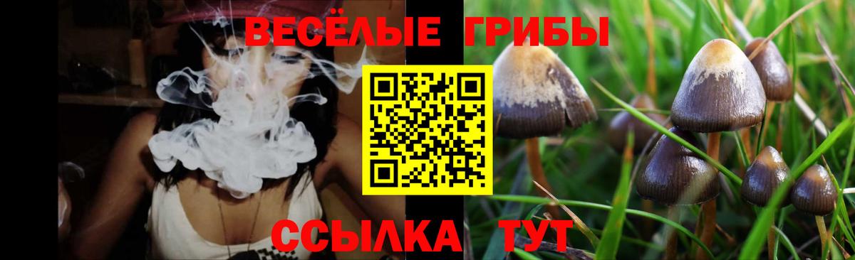 Псилоцибиновые грибы прущие грибы  Псилоцибиновые грибы Psilocybine cubensis  Тула  Вход с VPN 